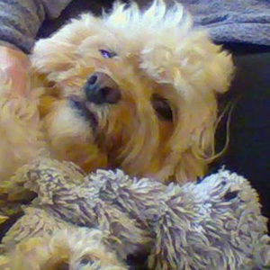 Meet your Posher, Delia